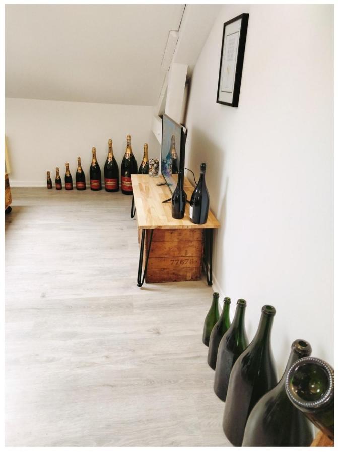Studio Champagne Apartment Reims Ngoại thất bức ảnh